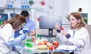 Navigating Trends and Growth Prospects