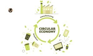Read more about the article Circular Economy: Unlocking Circular Economy Benefits for Corporate Sustainability